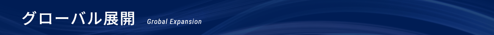 グローバル展開|Global Expansion